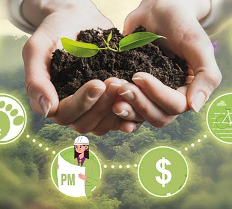 articolo 4 alfambiente