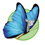 icona-sostenibilita-st